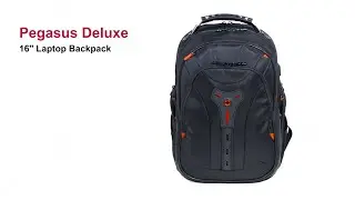 Pegasus| Wenger Business Gear