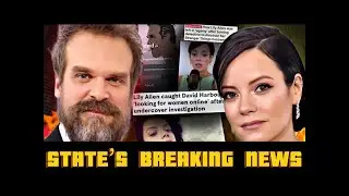 Lily Allen EXPOSES David Harbour in $8M Divorce Drama