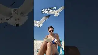 When birds steal your lunch 😂