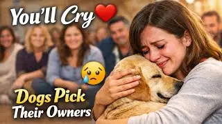 When Dogs Choose Their Humans: Heartwarming Adoption Moments You Won&rsquo;t Believe!