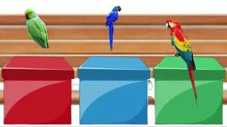 Play A Game Scene (From Marthy's World - All About Parrots