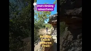 BIRDING #kanopolis State Park, #kansas - Buffalo Track Canyon Trail. FULL Video on Youtube #birding