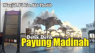 Detik detik Payung Madinah Tertutup dan suasana Masjid Ali bin Abi Tholib