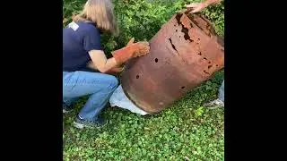 World Bird sanctuary rescue of juvenile red tail hawk