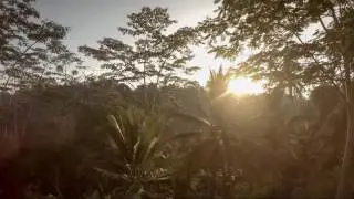 Ubud - Bali. Jungle Sunrise at the Tejaprana Resort (Time Lapse)