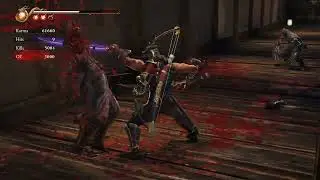 Ninja Gaiden 2 Black - Mod - Higher Delimb Port