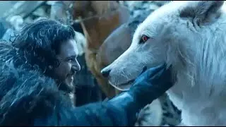 Game of throne's Dire wolf is been created by scientist