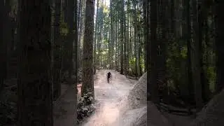 Duthie Hill | Flying Squirrel - Final Gap Jump | #youtube #shorts #mtb #bikelife #sendit