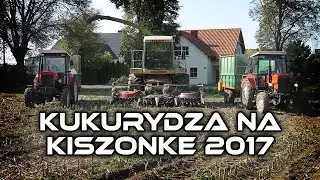 Kukurydza na kiszonke 2017 | 3x Mtz, Claas
