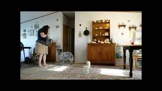 Bunny Hop Training - Stella