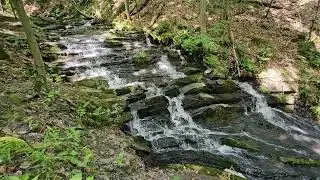 falling water at Falling Waters Preserve
