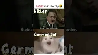 GERMAN CAT meme and Hitler😹 #shorts