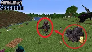 I beat the game but theres random item rain.(Minecraft)