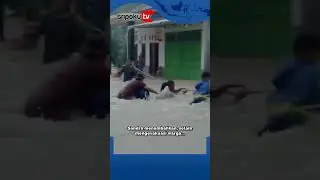 Banjir Terjang Belitang III OKU Timur, 73 Rumah Warga Terdampak, Semua Korban Dievakuasi