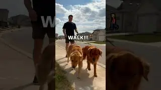 Как восстановиться после гонки