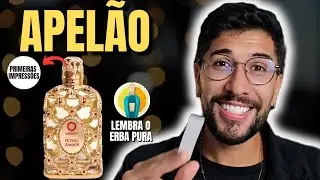 ROYAL AMBER  ( Primeiras IMPRESSÕES) Perfume FEMININO
