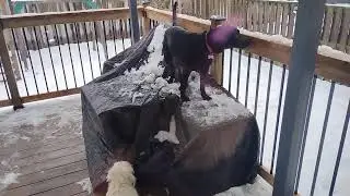 Nova does something she's not supposed to