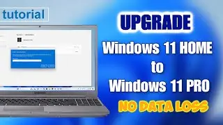 🪄Как легально обновить Windows 11 Домашняя до Windows 11 Pro, платно и бесплатно