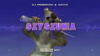 Dj Przemooo & Adivix - Szyszunia (KriZ Van Dee Edit)