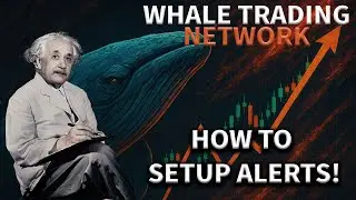 Whale Trading Network: How to setup the alerts!