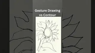 What's the Difference Between Gesture Drawing and Contour Drawing - Draw Every Day with Jacki Kellum