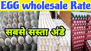 Egg wholesale price #egg #wholesale #wholesaleprice #anda 