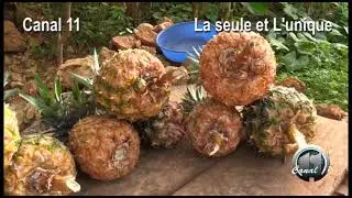 Nan dezy&egrave;m seksyon Corail, lavi a difisil pou abitan yo, yo pa gen kote pou yo vann machandiz yo