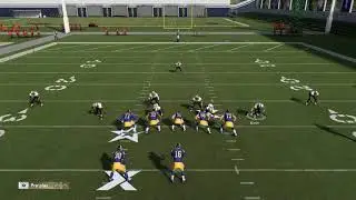 Madden 20 - Nickle 2-4-5 Mid Blitz 4 Invert Mod