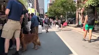Walk Through Printers Row Lit Fest 2023