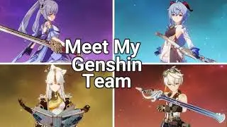 Meet my genshin team