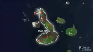 The Galapagos Islands