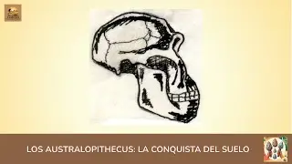 AUSTRALOPITHECUS: LA CONQUISTA DEL SUELO