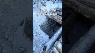 Ви згідні чи ні? #зима #зима2026 #мороз #холод
