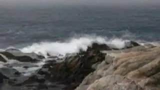 Cliff at Pebble Beach, CA