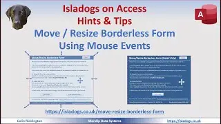 Move & Resize Borderless Form Using Mouse Events