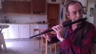 Fermoy Lassies Tim Adams Irish Flute Demo