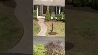 Coco brown mulching