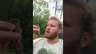 Oliva Connecticut cigar | the Everymans smoke