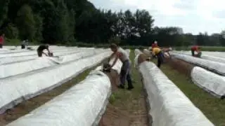 MOV05687.MPG