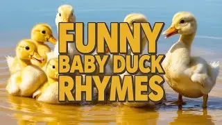 Quack Quack English Kids Song | Fun Duck Music Video for Toddlers and Preschoolers Learning