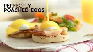 Electric Egg Cooker for Hard Boiled Eggs - Scrambled Eggs, Omelets