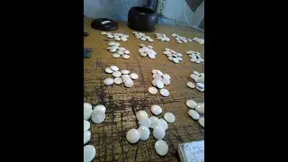 Japanese go board tea ceremony and MORE! The shortened version ABAREBUGYO