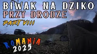 Biwak Na Dziko Przy Drodze Transylwania Bushcraft Outdoor - Romania 2025 PART 8