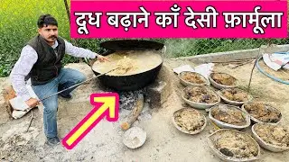 How to increase cow milk at Home || Low cost formula || Desi formula