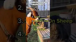Ranking Goat Moments