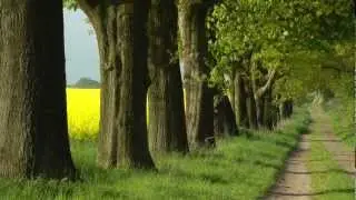 Ein Jahr im Naturpark Nossentiner/Schwinzer Heide - Impressionen