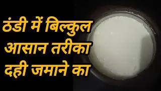 How to make curd in winter easily! Curd! Thick curd! How to make curd! 