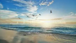 BDMP -Free  (Original Mix)