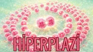 Hiperplazi: H&uuml;cre Sayısı Neden Artar? | Patoloji