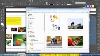 25. Learn Indesign in Hindi:  Embedding /  Non-Embdding and Copy Links options from Link Panel